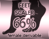 Feet Scaler 66%