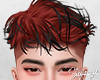 S. Dadrick Aurburn ll