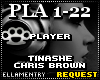 Player-Tinashe/Chris B.