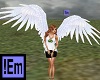 !Em White Angel Wings