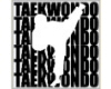 Tae Kwon Do Kicker - big