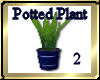 [my]Potted Plant 2