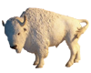 [AM]White buffalo