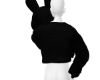 bunny + sweater drv