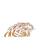 tiger dance spot marker