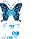 Black n blue butterfly