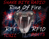 DragonForce: Ring O Fire