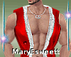 *M* ^Santa Boy^ Vest