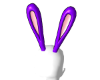Purple Bunny Ears