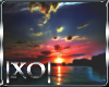 lXOl Sunset Youtube 