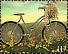 Bike Romantic Spring