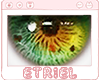 E|  Holi Eyes 06