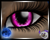 Sera Purple Eyes