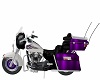 Harley Purple Flames