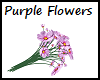 Purple Flowers - R