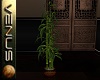 ~V~Bamboo Plant