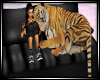Bengal Tiger Sofa