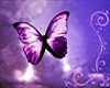 Purple Butterfky