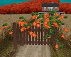 Orange Flwr Ivy Fence