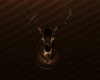 I. Moose Head