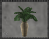 Seasonal FS Plant
