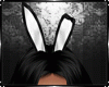 Bunny Ears Animated F