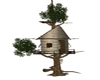 TREE HOUSE (KL)