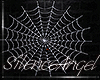 SA Witches Spider w Web