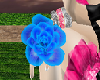 (Fe)Blue rose