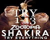 Shakira Try Everything