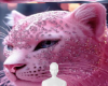 Pink cat 3 sparkly bg