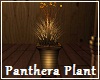 Panthera Plant