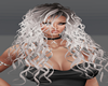 Daisi Silver Frost