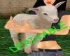 Lamb animated
