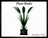 Plant Radio ~ Music