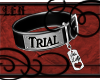 M Trial Collar LillyTag