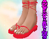 The Kim Flats Red