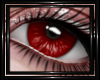 !T! Eyes | Nocturne R