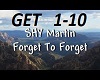 SHY Martin-ForgetToForgt