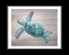 [BB] Sea Turtle