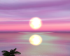 Pantai Pink