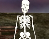 skeleton white