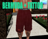 BERMUDA + TATTOO