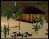 BabyRae's Private Beach 