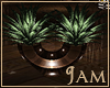 J!:Myrella Plant