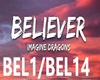 Believer
