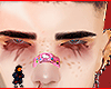 Vech brows