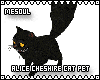 Alice Cheshire Cat Pet