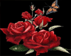 *AL* Red Rose Flower