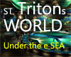 ST TRITON s WORLD